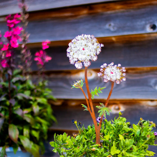 Queen Anne's Lace Stake