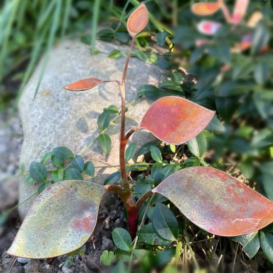 Copper Leaves on a Stem