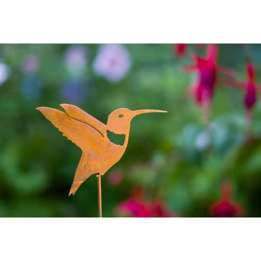 Hummingbird Pick