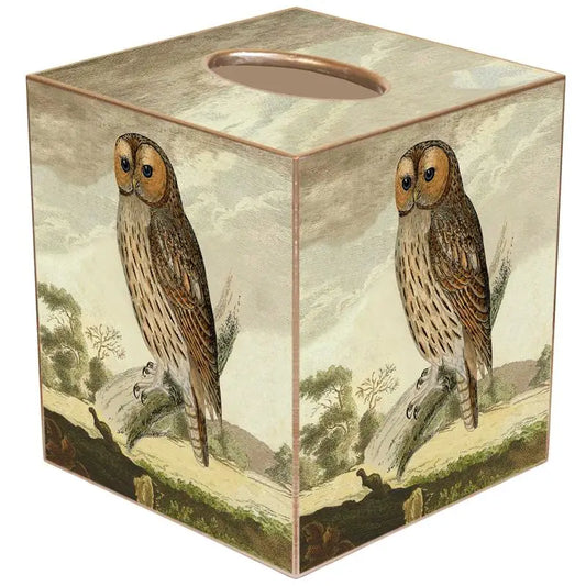 Tawny Owl Tissue Box