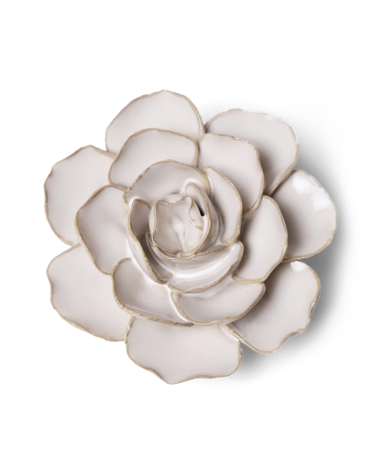 Ivory Ranunculus