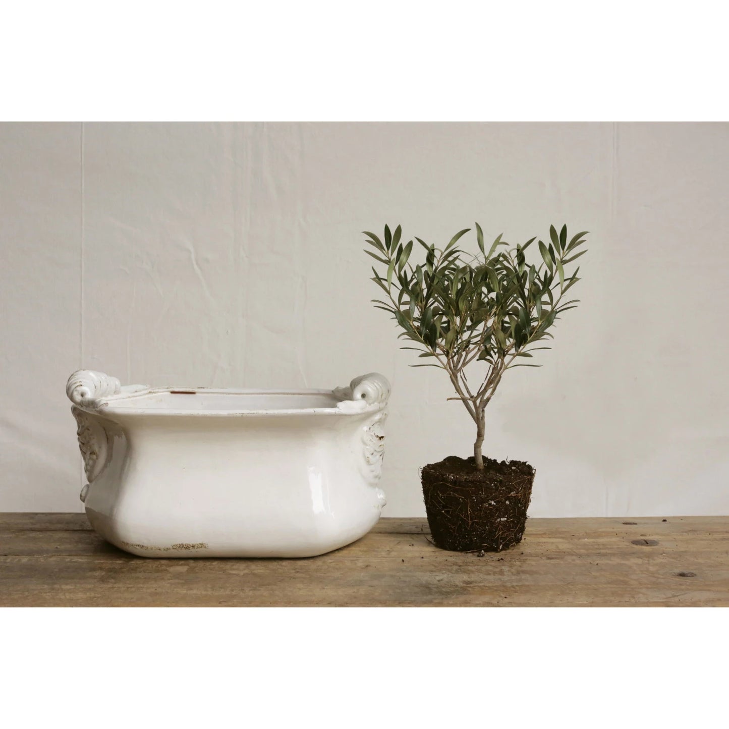 Terracotta Cachepot with white crackle glaze.