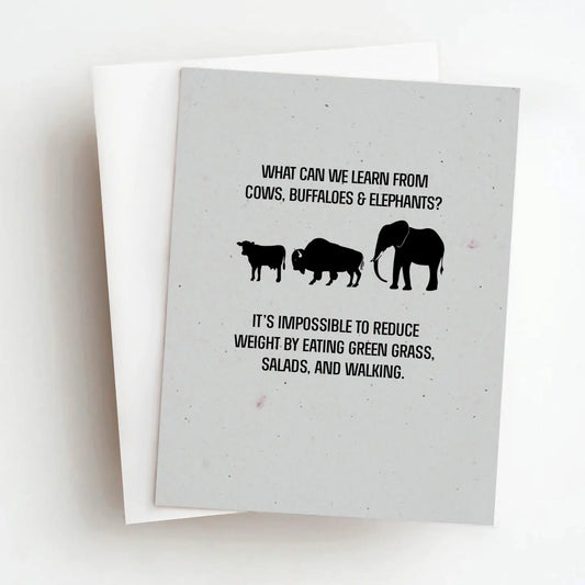 What can we learn from cows