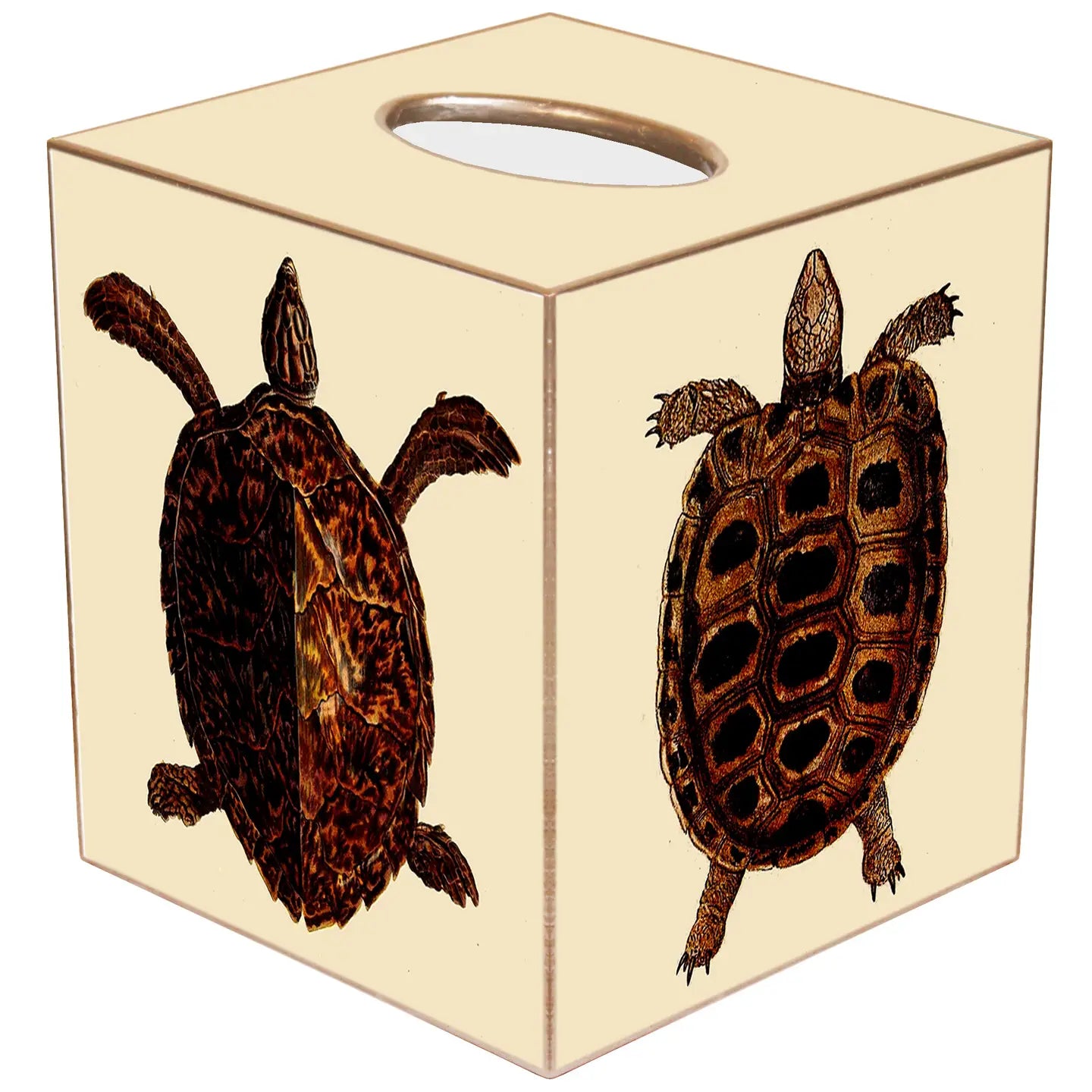 Pair of Turtles Tissue Box