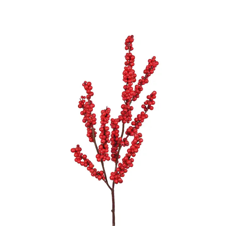 Ilex Berry Branch