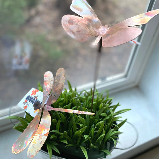 Copper Dragonfly