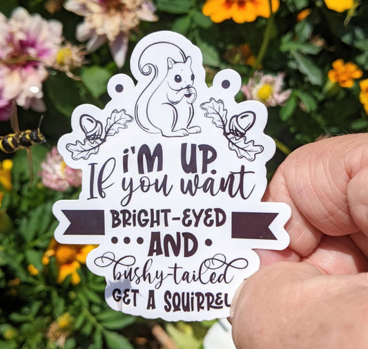 Squirrel Sticker