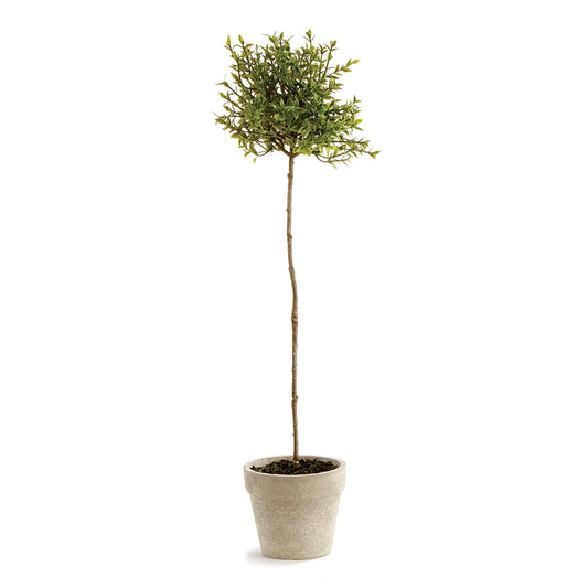 Thyme topiary, tall, sphere or ball, mini tree, artificial plant