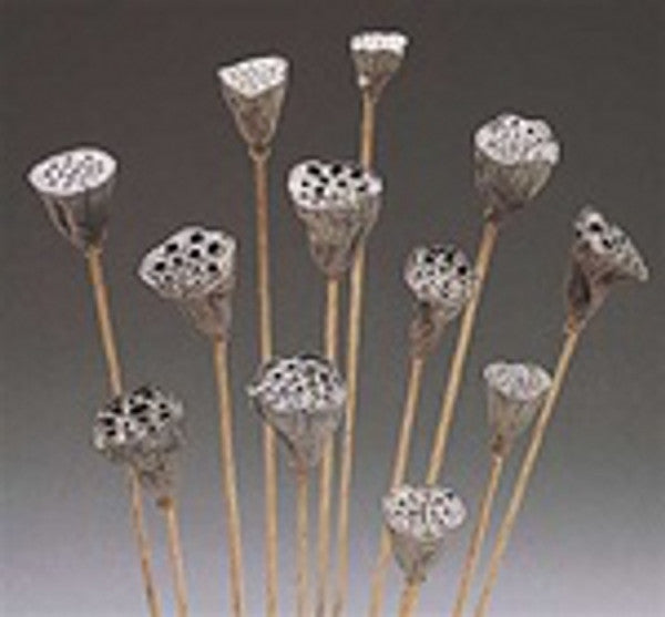 Lotus Pods on a Stem