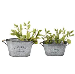 Flowers Bucket Planters