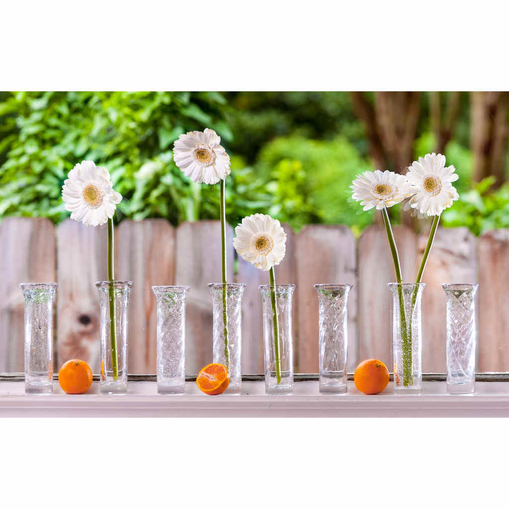 Glass Bud Vase, Set of 4