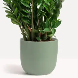 Planter, Ceramic Egg, 10", pot