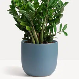 Planter, Ceramic Egg, 10", pot
