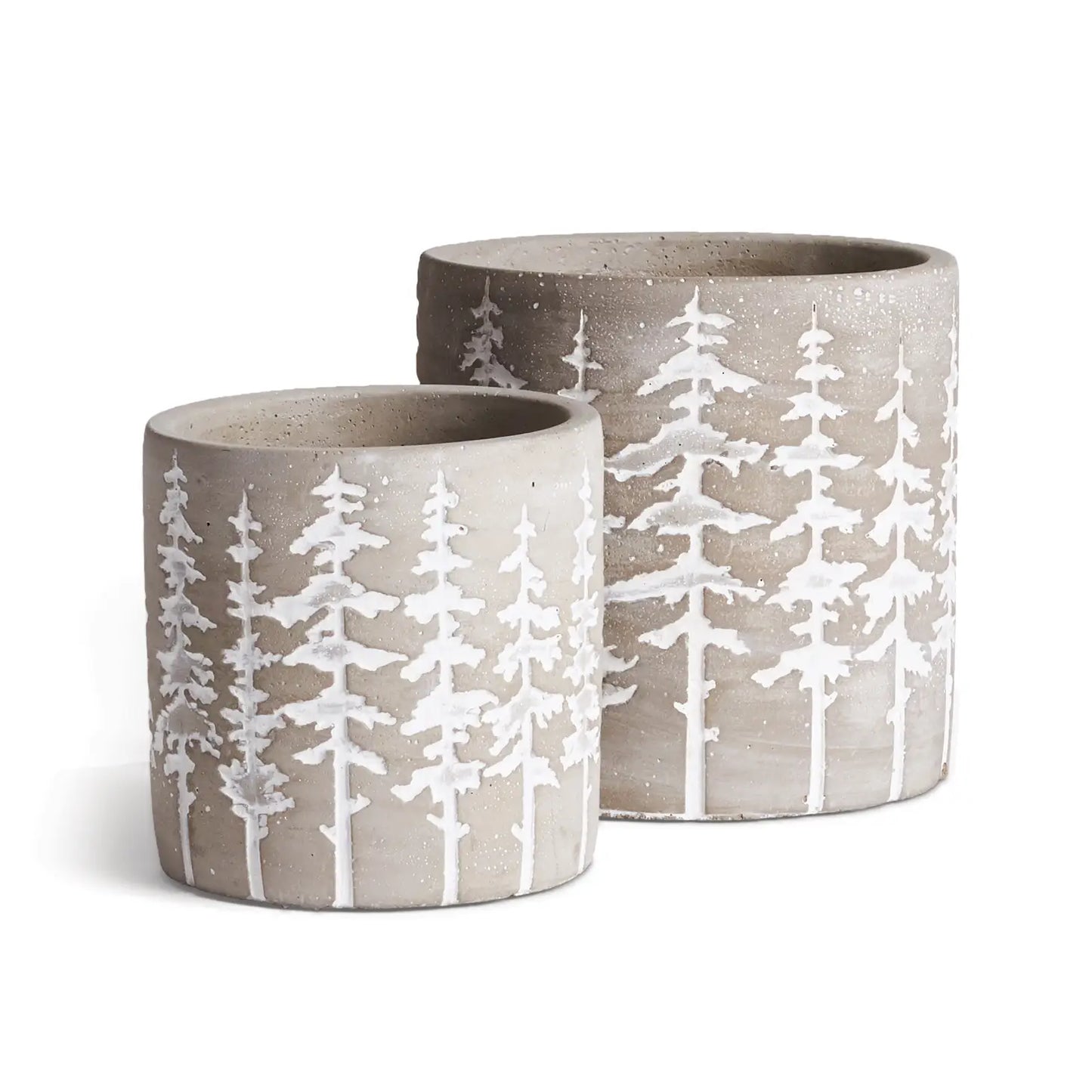 Evergreen Pots, planter, tree
