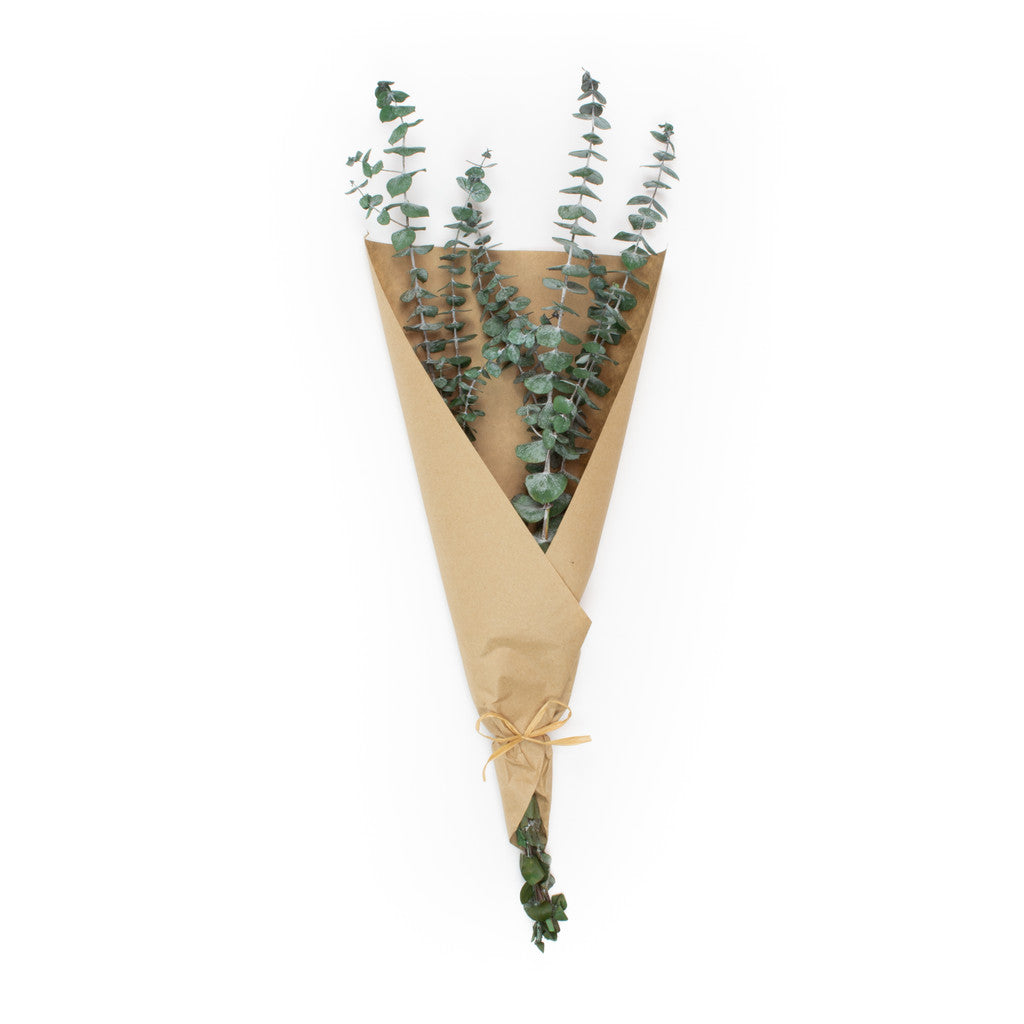 Baby Eucalyptus, Wrapped