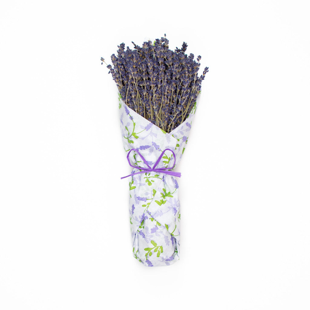 French Lavender Wrapped in Tissue