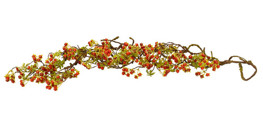 Twig Berry Vine