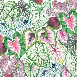 Caladium Cocktail Napkins, paper, succulent leaves