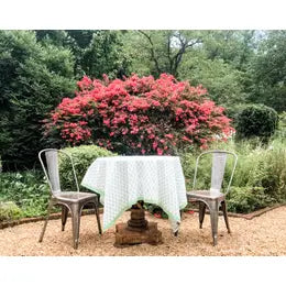 Green Tablecloth