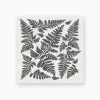 Match Box, Botanical Leaves and Ferns, matches