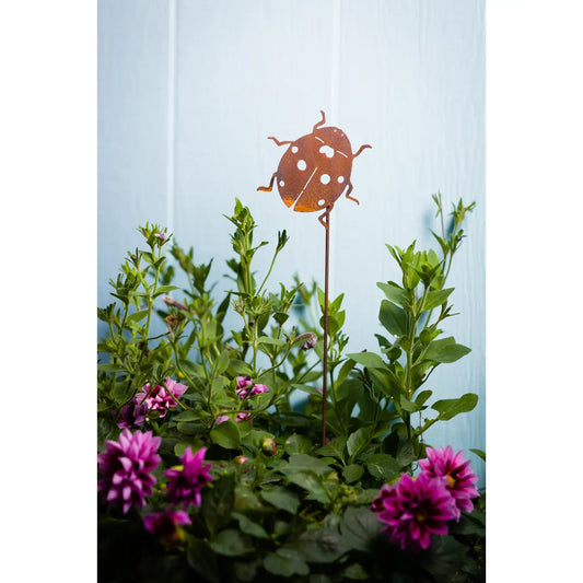Ladybug Pick