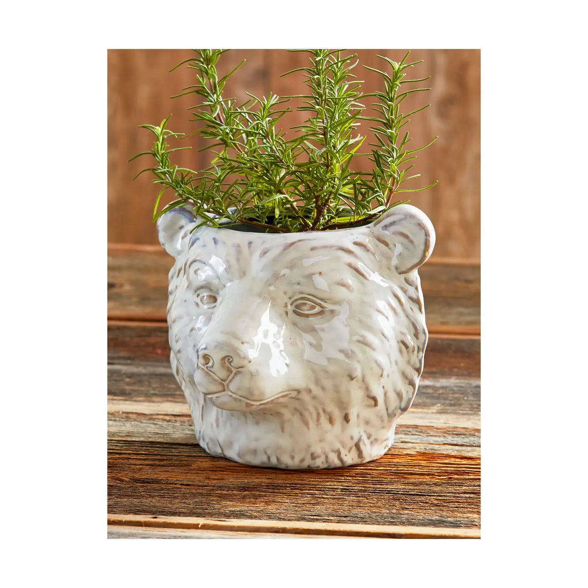 Bear Planter