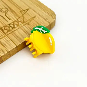 Mini Cute Hair Clip