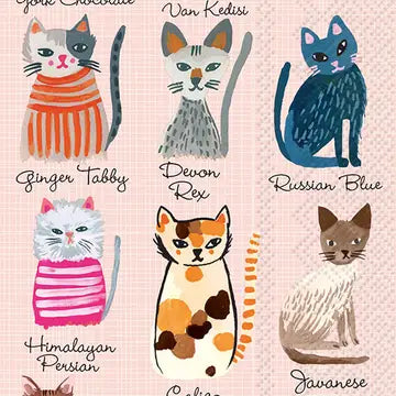 Cool Cats Guest Towels