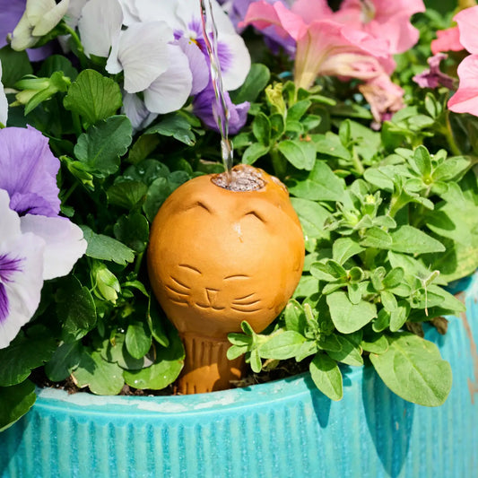 Self Watering Plant Pet