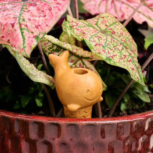 Self Watering Plant Pet