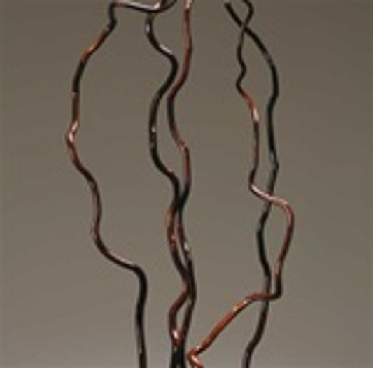 Curly Willow  Branch, 6', stem