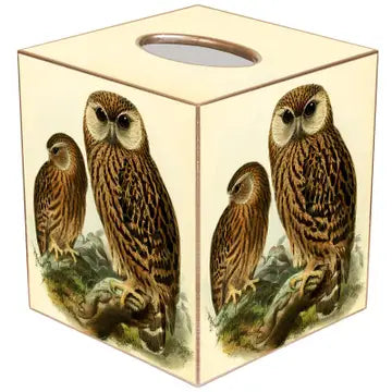 Laughing OwlsTissue Box