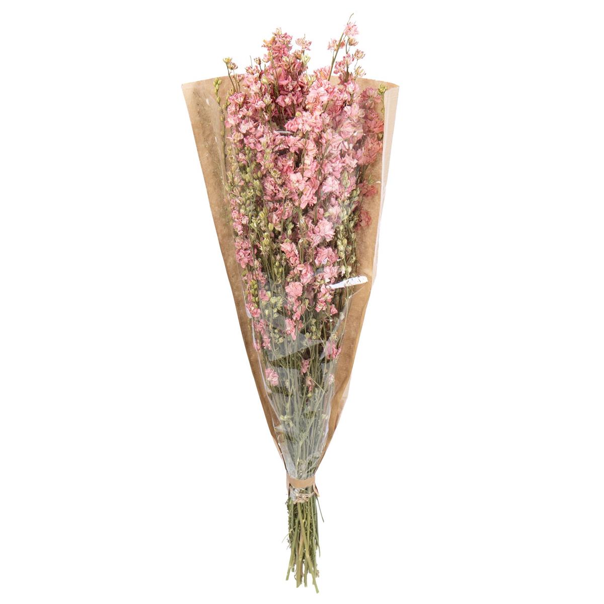 Delphinium