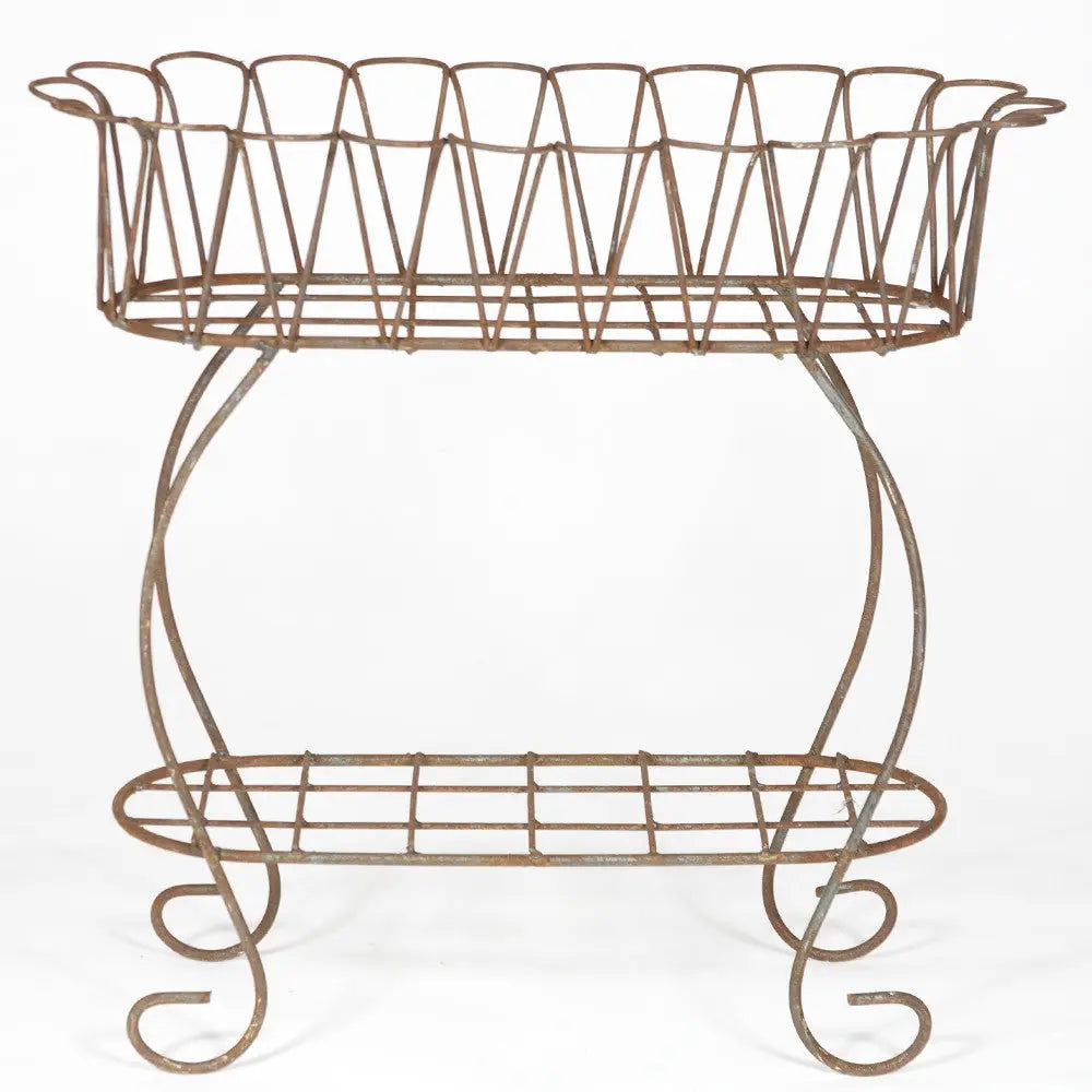 Scalloped Fernery Planter
