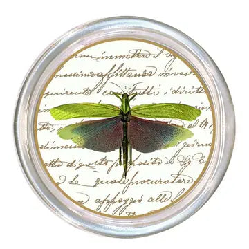 Dragonfly Glass Coaster