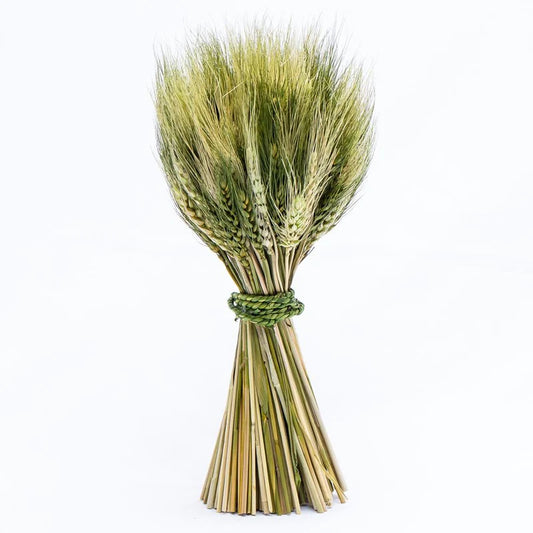 Stand Up Wheat Bundle