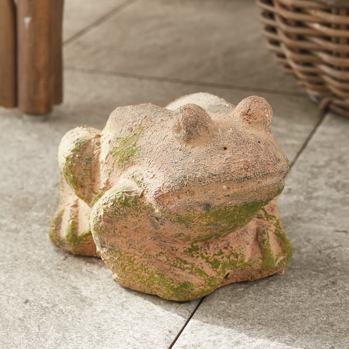 Garden Frog