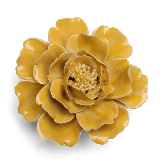 Yellow Rose