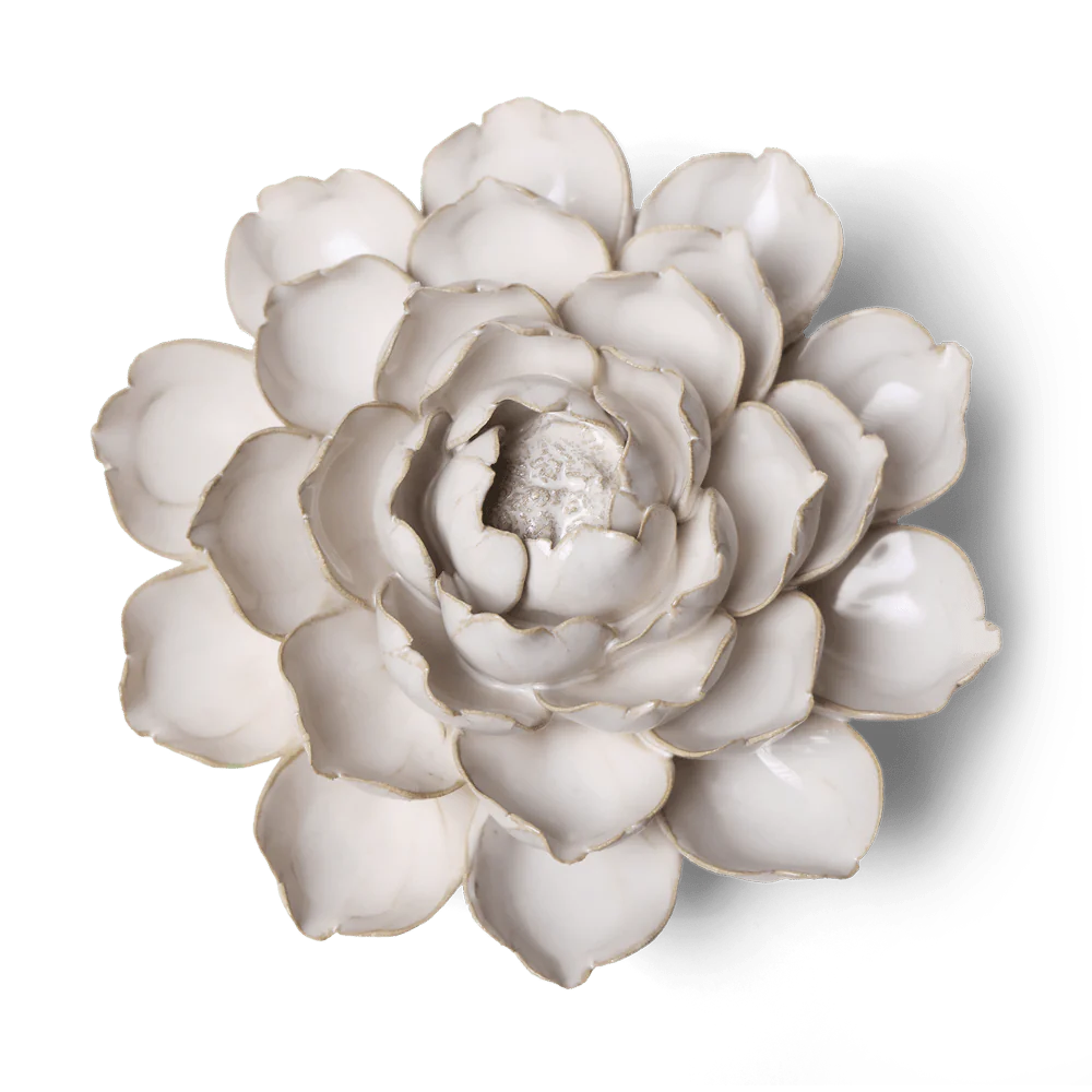 White Cabbage Flower