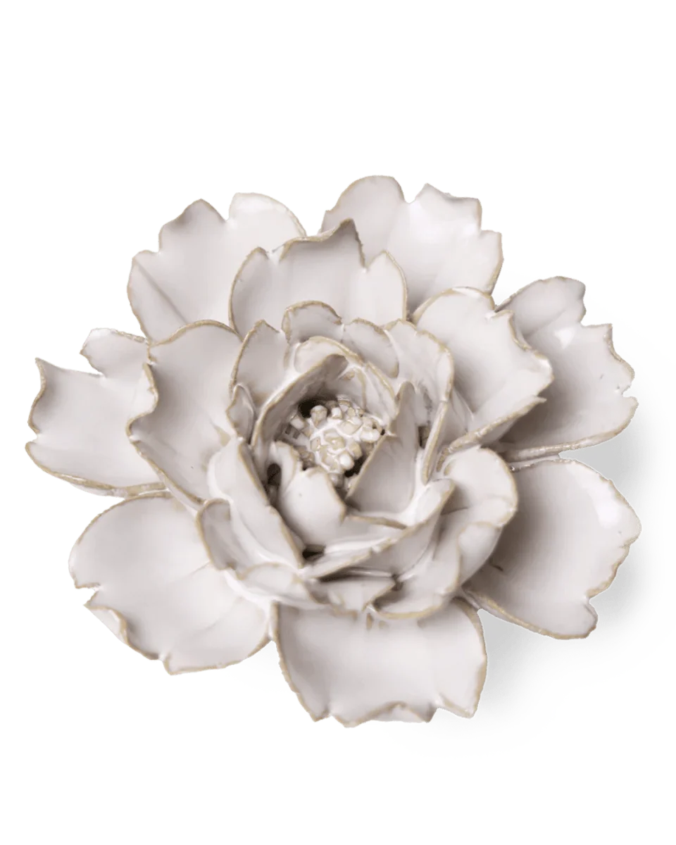 Ivory rose