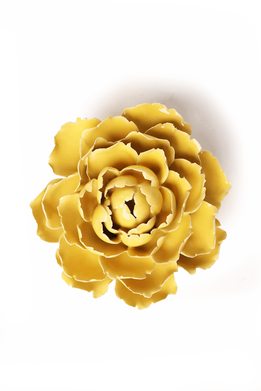 Yellow Gay Paree Peony