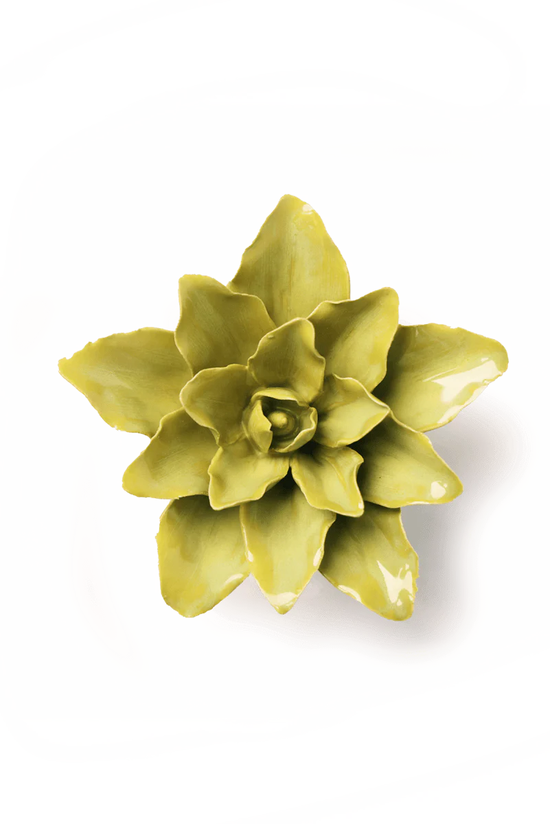 Tiger Lily , Chartreuse