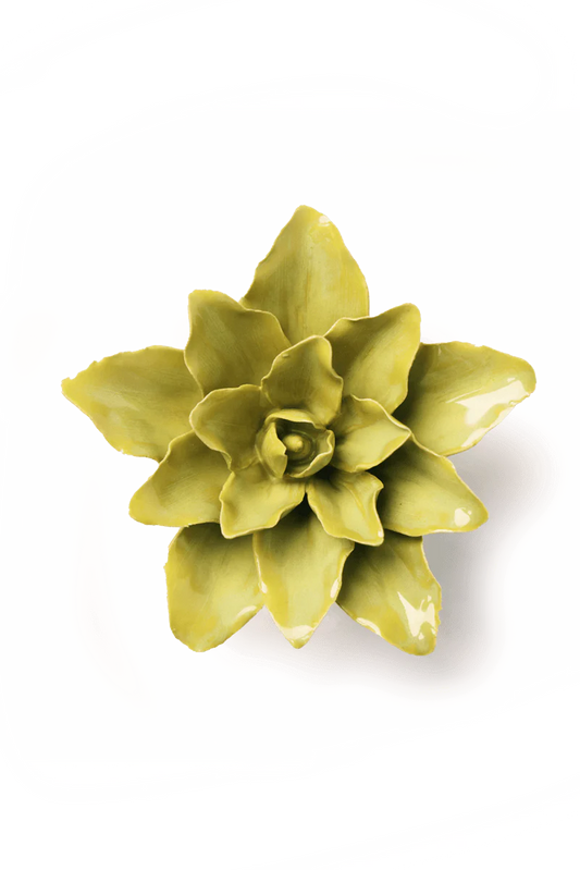 Tiger Lily , Chartreuse