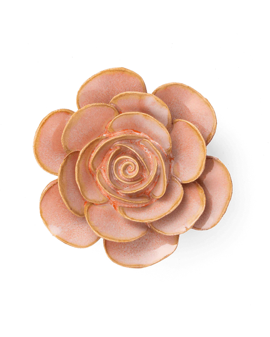 Ranunculus, Peach Pink