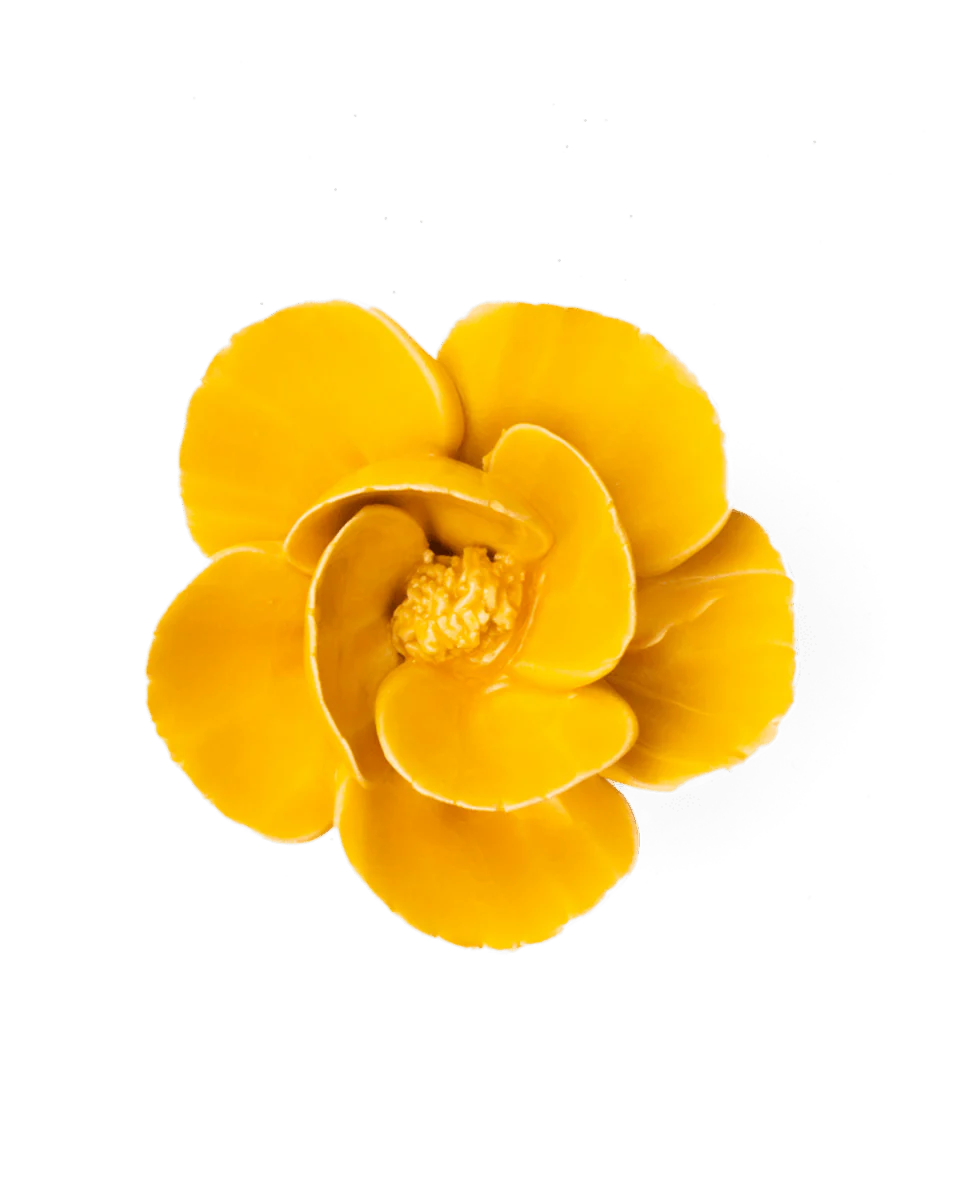 Burnt  Poppy, Orange or Yellow