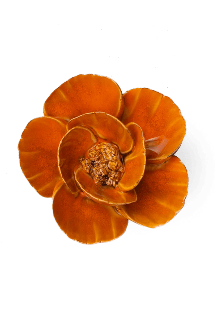 Burnt Orange Poppy