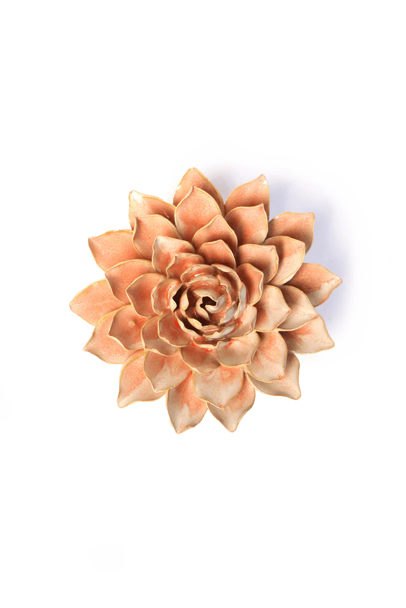 Madonna Azalea