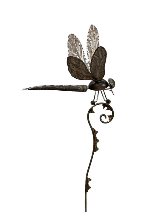 Dragon Fly on Fern