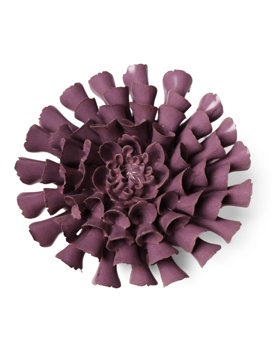 Violet Dahlia