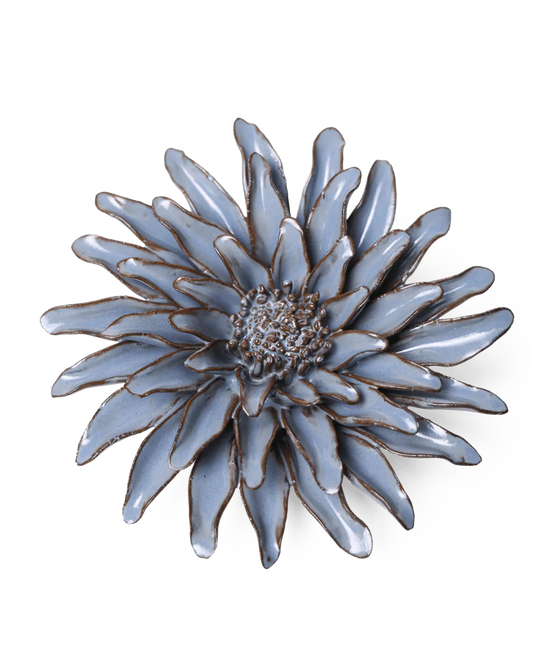 Blue Gerber Daisy